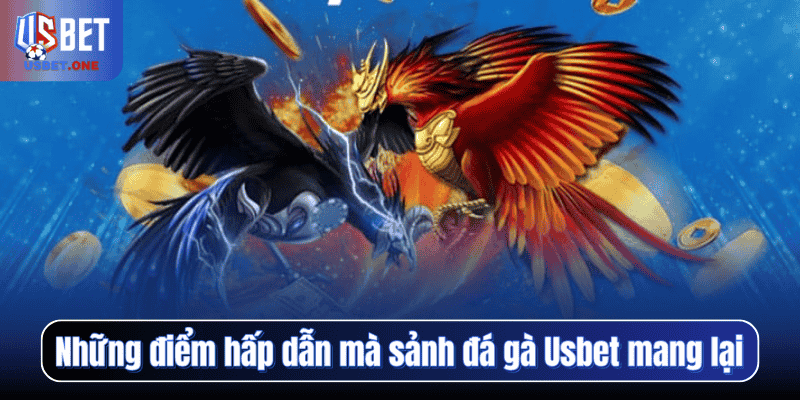 Những điểm hấp dẫn mà sảnh đá gà Usbet mang lại