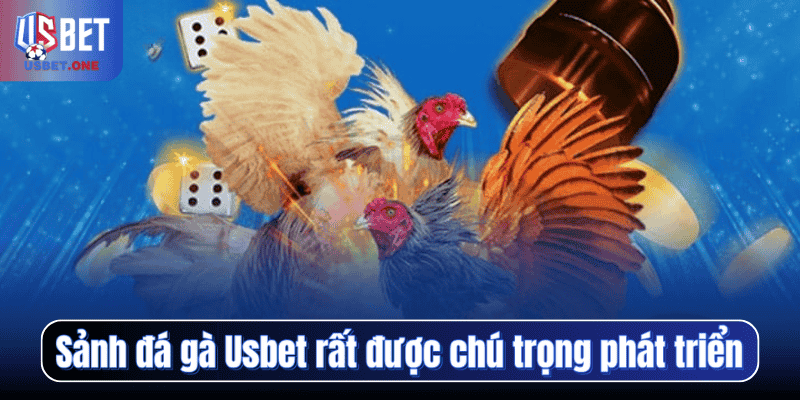 Sảnh đá gà Usbet rất được chú trọng phát triển